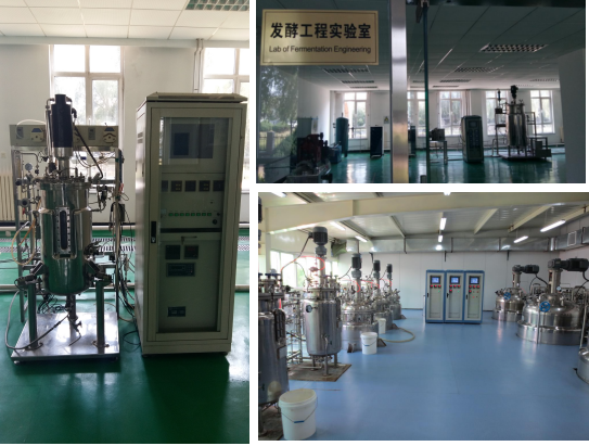 我公司承担的863计划和国家科技支撑计划项目课题顺利通过科技部验收 我公司承担的863计划和国家科技支撑计划项目课题顺利通过科技部验收